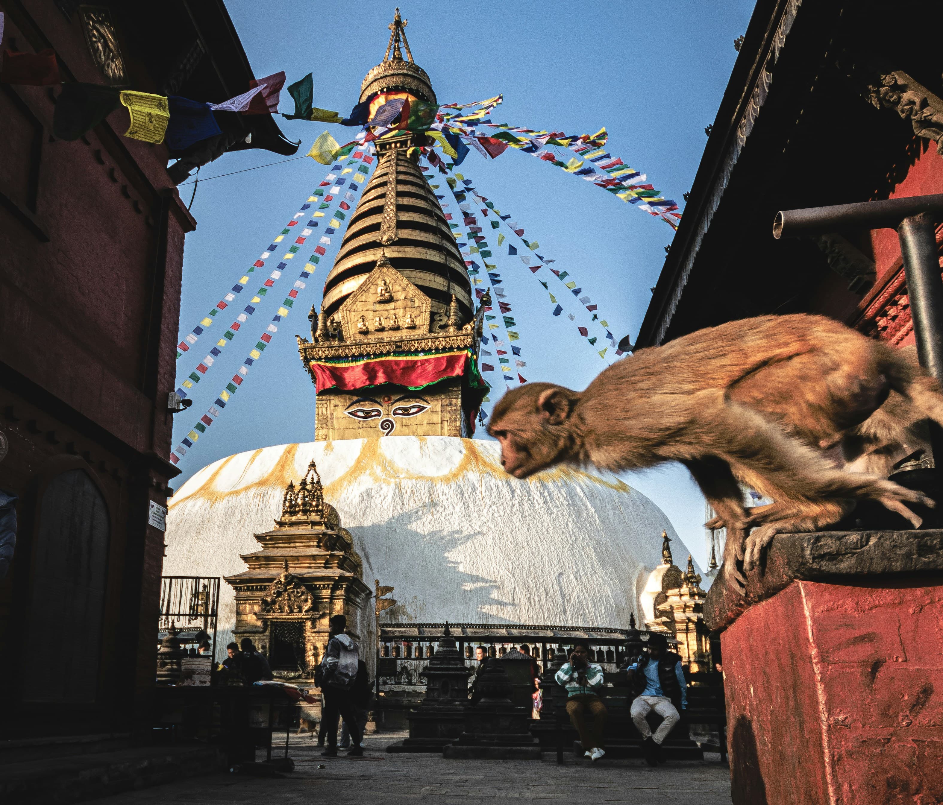 Annapurna Base Camp Lodge